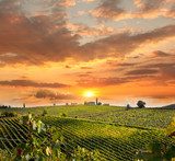 Chianti, famous vineyard in Italy 