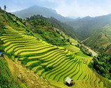 Rice fields Mu Cang Chai, Vietnam 