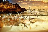 Two Rocks Sunset - Perth Australia 