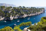 Calanques of Port Pin in Cassis 