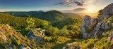 Mountain forest panorama - Slovakia 