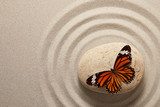 Zen rock with butterfly 