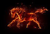 Fiery horse 