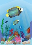 marine life with colorful fish 