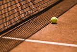 Tennis Ball and Net on a Clay Court 