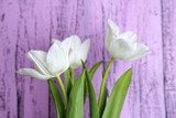 Beautiful tulips on wooden background 