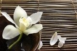 bowl of orchid, petal on bamboo mat 