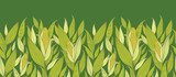Zielone kolby kukurydzy