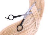 Long blond hair and scissors isolated on white 