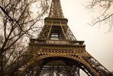 Eiffel tower with trees 