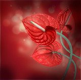 .Floral background of red flowers 