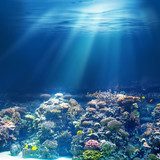 Sea or ocean underwater coral reef 
