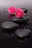 Spa stone and rose flowers still life. Healthcare concept. 