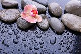 Composition with beautiful blooming orchid with water drops and 