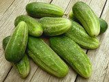 fresh harvested cucumbers 