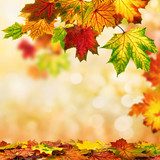 Herbst Hintergrund umrahmt mit buntem Laub 