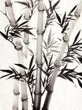 bamboo leaf 