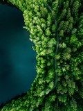 Aerial top view of country road in green summer forest and blue lake. Rural landscape in Finland.