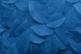 Background from autumn fallen leaves close-up in color Pantone classic blue 2020. Color of the year.