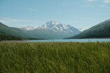 Eklutna Lake in Anchorage Alaska with luscious green grass