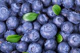 Energetyczny blask jagód w makro detalu