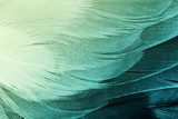 green and yellow color tone vintage background