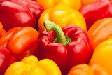 Kolorowe papryki w naturalnej kompozycji