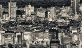 Miejska panorama w monochromatycznym rytmie