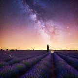 Nocna magia prowansalskiego pola lawendy