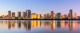 Osaka, Japan Cityscape Panorama