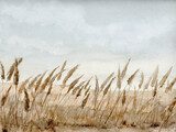 Pampas Wild Flower Grass Field Landscape, Hand Drawn and Painted Watercolor