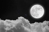 Romantic Moon In Starry Night.