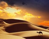 Samotna podróż po Saharze