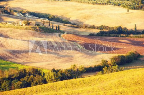 Rural landscape in the light of the sunset