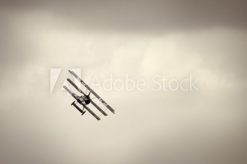 Fokker Dr.I triplane in the sky