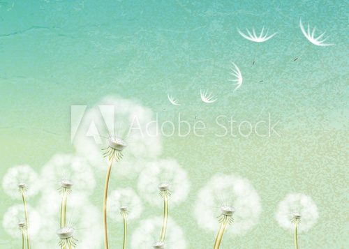 Abstract background with flower dandelion
