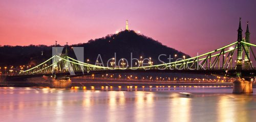 The famous Liberty Bridge in Budapest