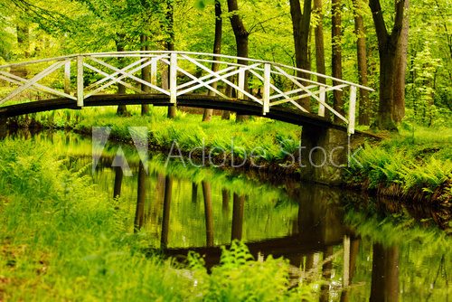 Fluss mit weißer Holzbrücke im Wald