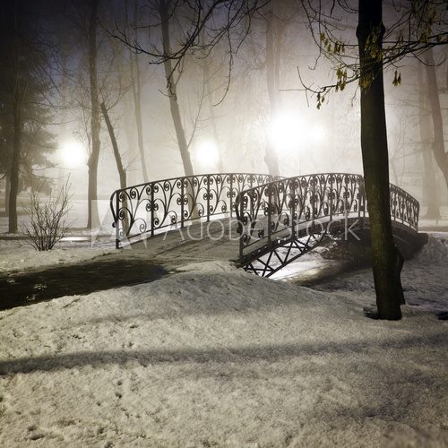 Park bridge in winter