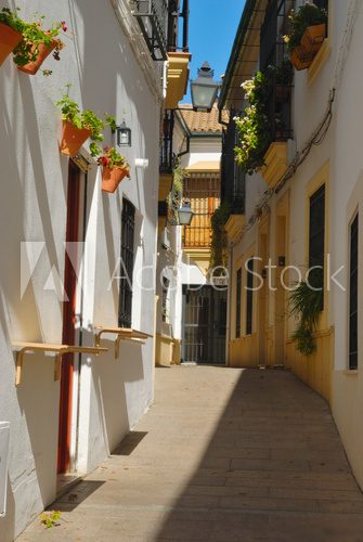 Traditional Cordoba Street, Andalusia, Spain