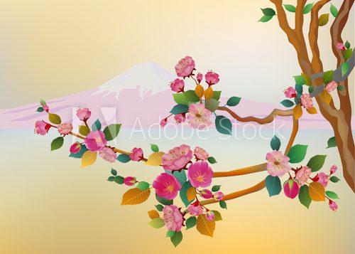 Banner sakura , spring , fuji mountain