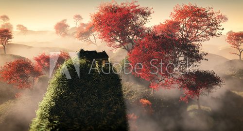 Aerial of fantasy grassy hill landscape with red autumn trees an