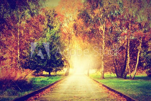 Autumn, fall park. Wooden path towards the sun, light