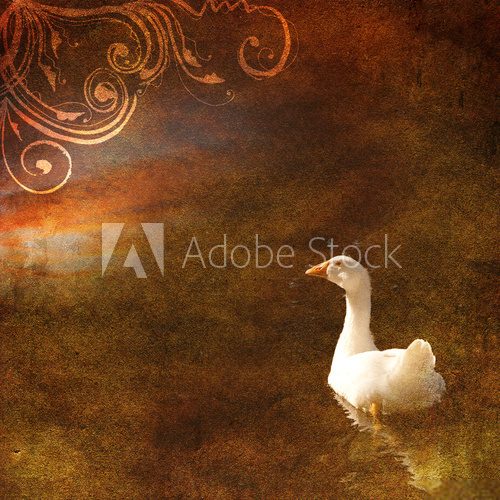 Vintage shabby chic background with goose