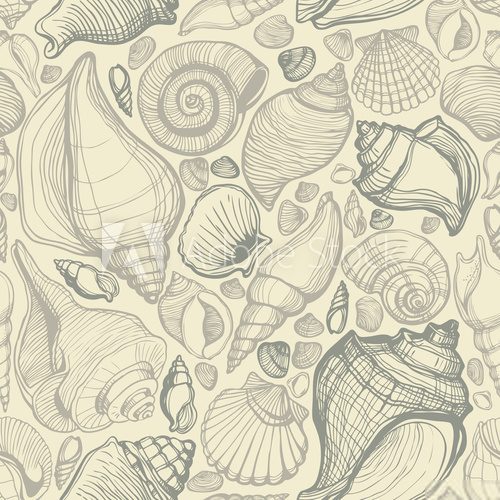 Beach Seashell Pattern