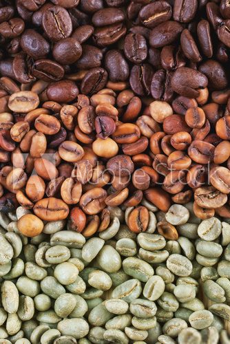 Green and brown coffee beans