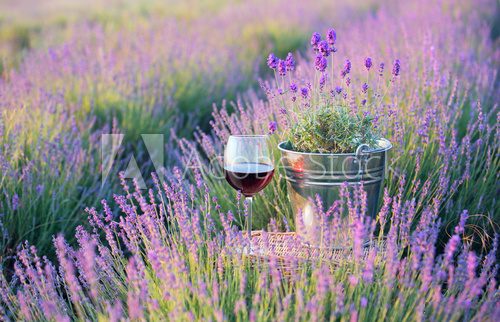 Summer flowers and wine.