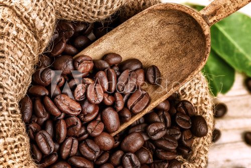 Roasted coffee beans in burlap sack with old wooden scoop