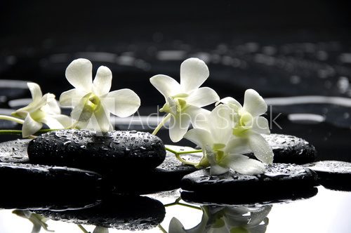 Zen stones and white orchids with reflection