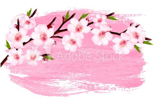 Pink paint sakura branch banner. Vector.